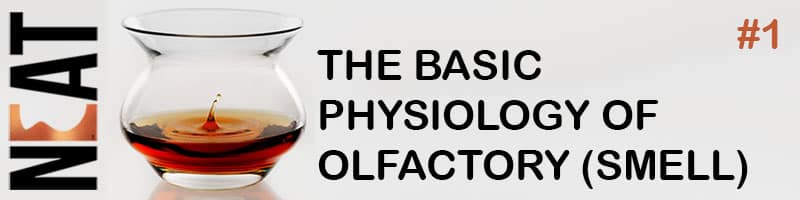 basic physiology