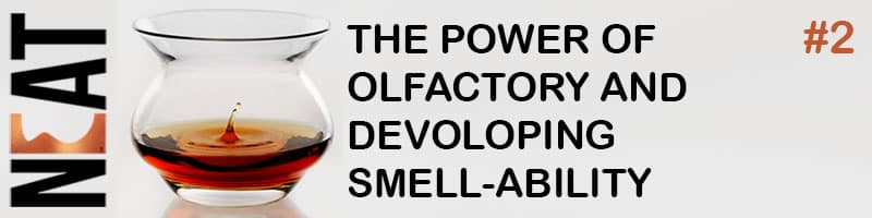olfactory power